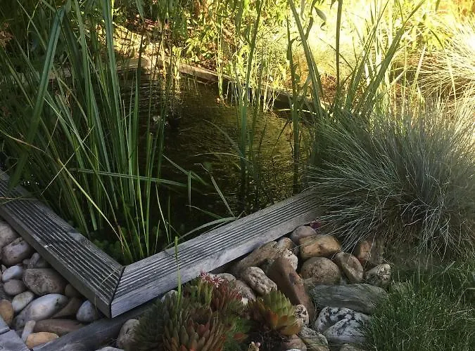 Hébergement de vacances La Belle Maison Patio *